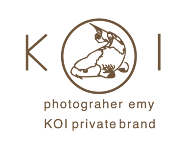KoI brand shop logo