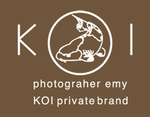 KoI brand shop logo